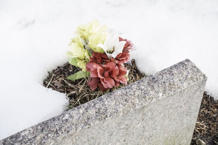 Token of remembrance in winter Small bouquet of flowers on ground cleared of snow by headstone in cemetery (high angle view with selective focus).jpeg